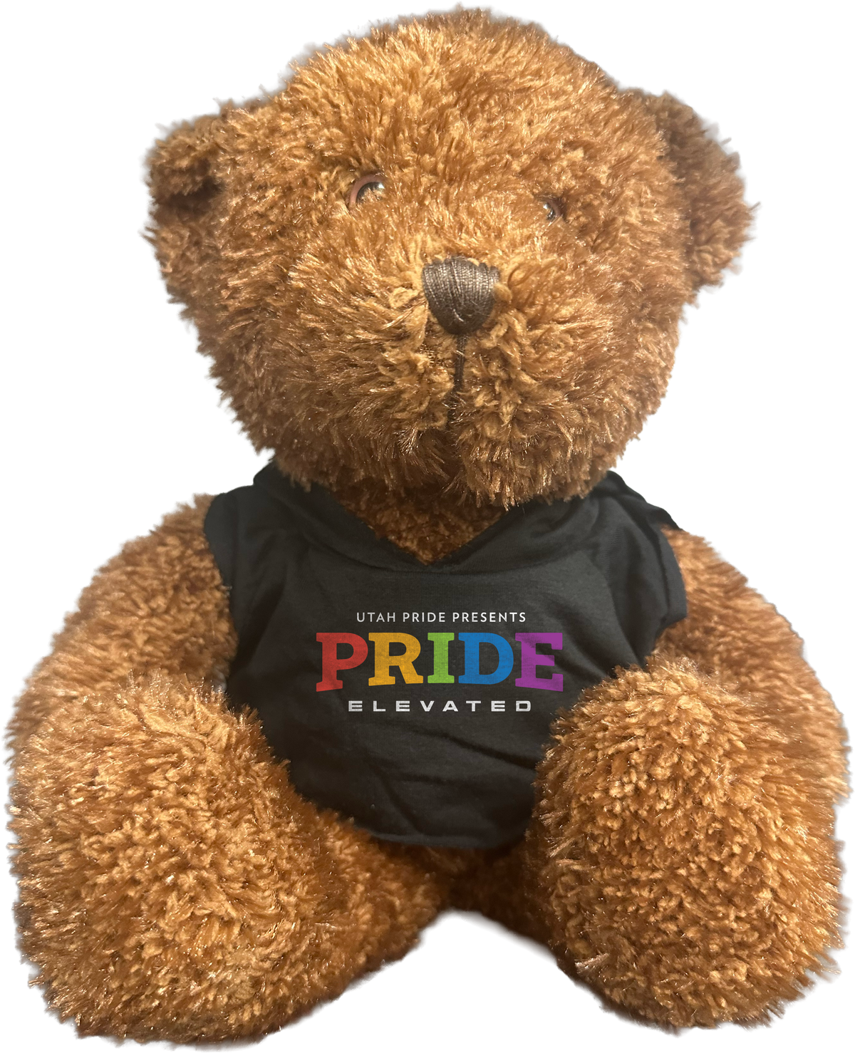 Utah Pride Bear - Pride Rainbow