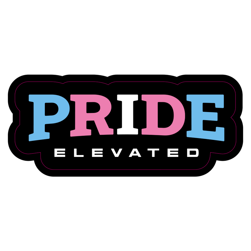 Pride Elevated Magnet - Trans